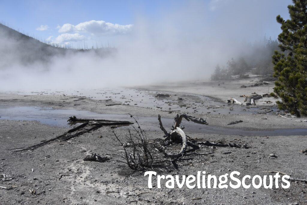 Yellowstone flats