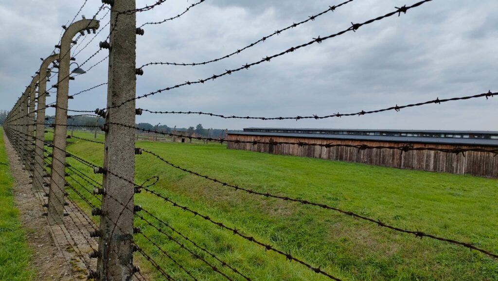 Fence of Birkenau