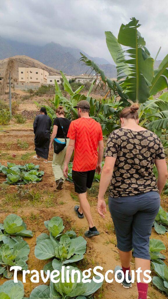 Rondleiding op de Farm